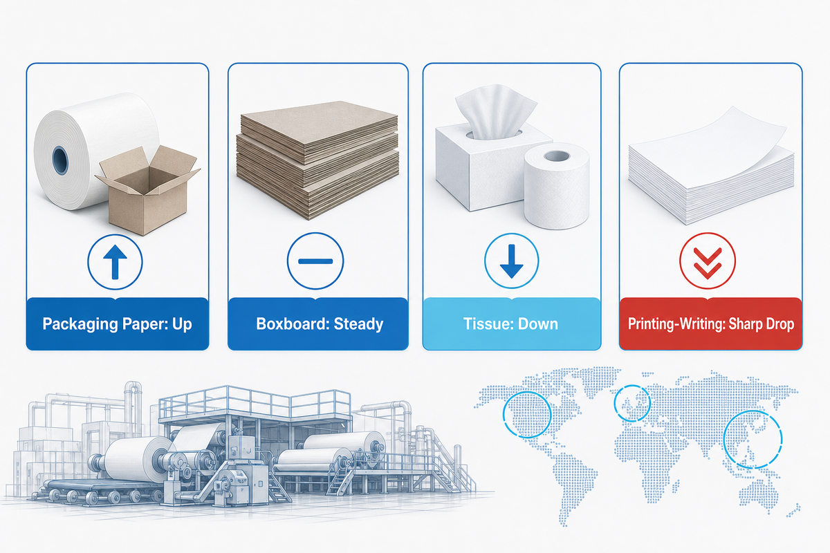 Industry Outlook: What 2025 Data Changes for a 2026 Project — Henan Zejiang Paper Machinery Co., Ltd.