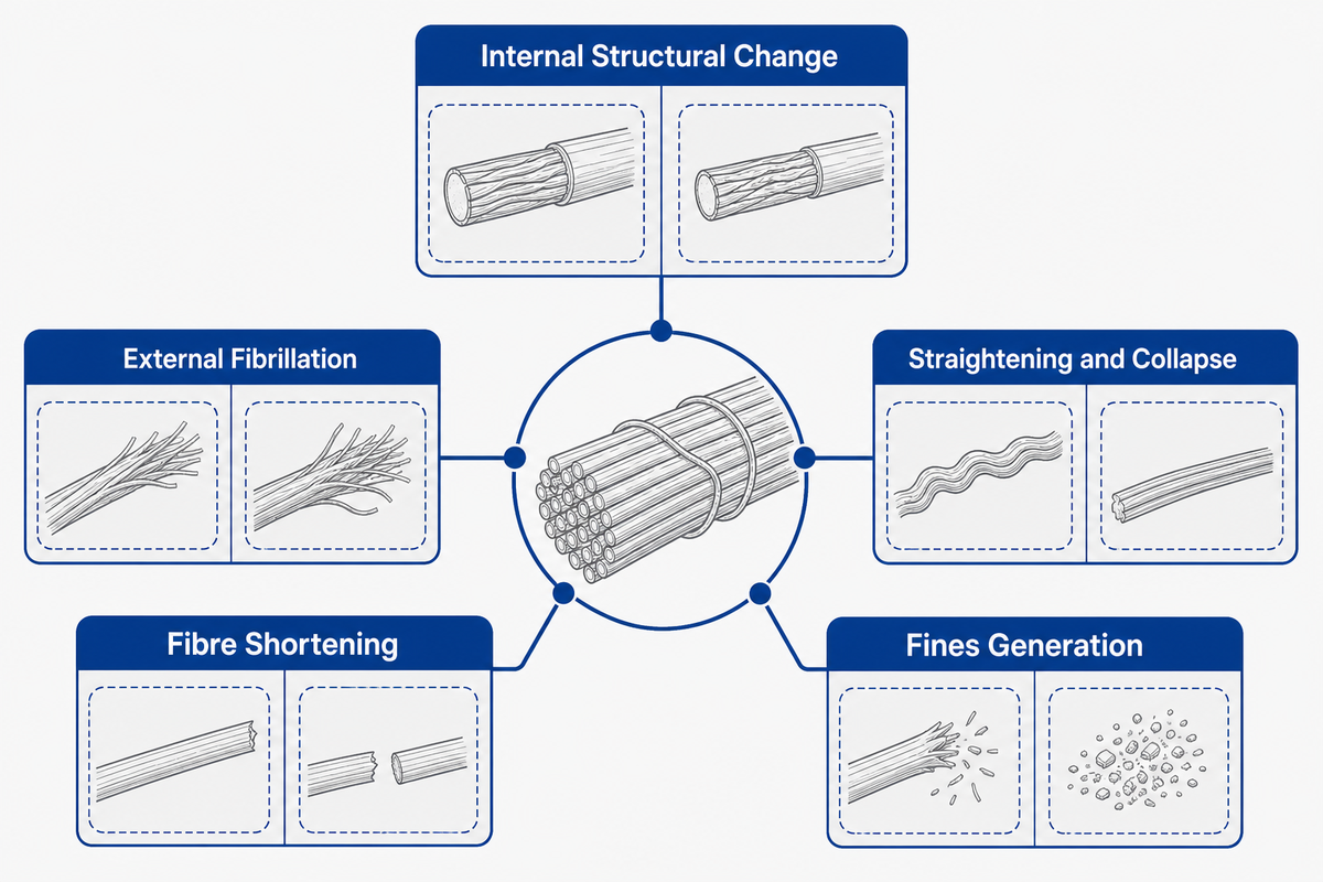Five pulp-fibre responses show benefits and risks of refining treatment